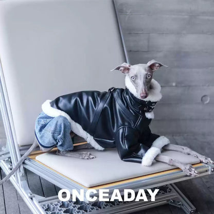 Barnfit Biker Leather Dog Jacket – Winter Style for Whippets