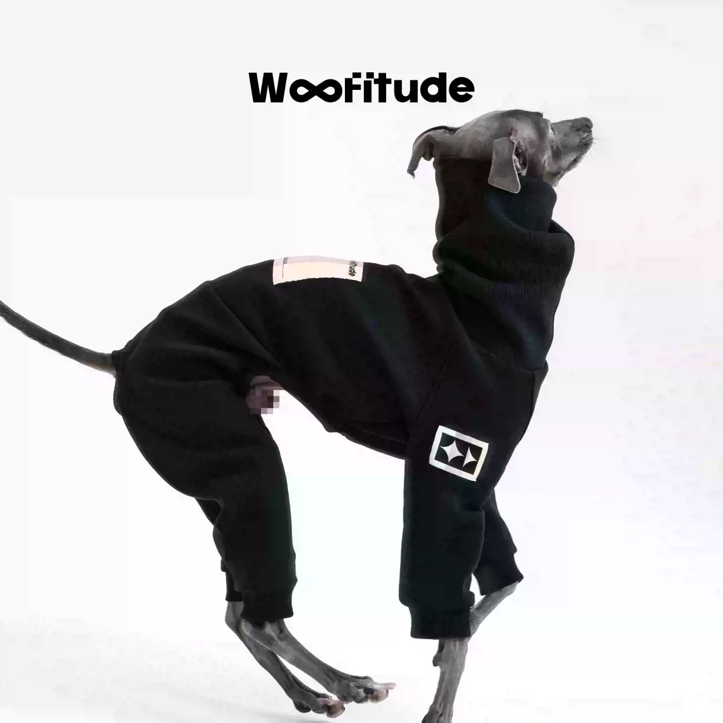 Woofitude High-Neck Quilted Sweatshirt