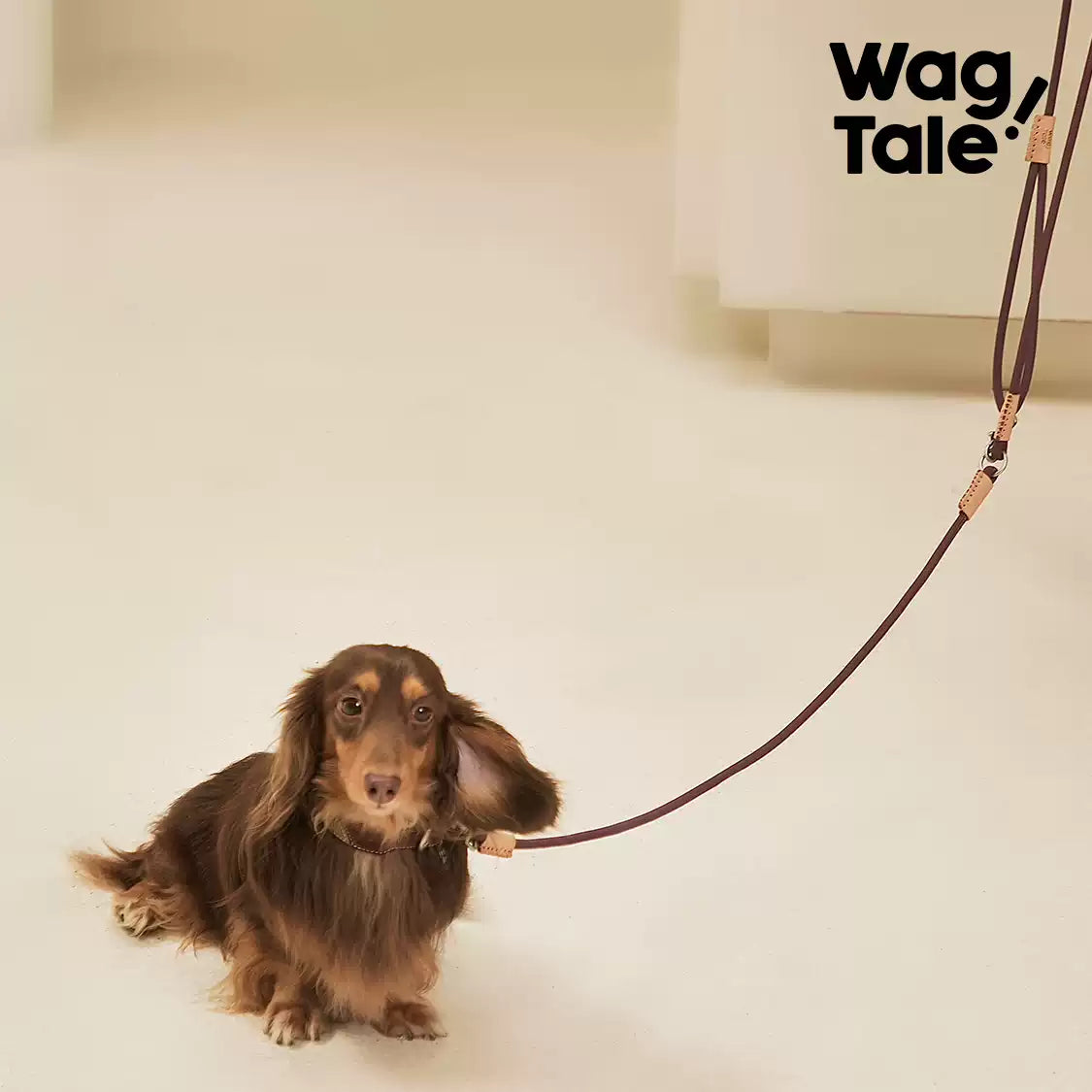 WagTale Vintage Leather Dog Leash – Multi-Tone Versatile Design