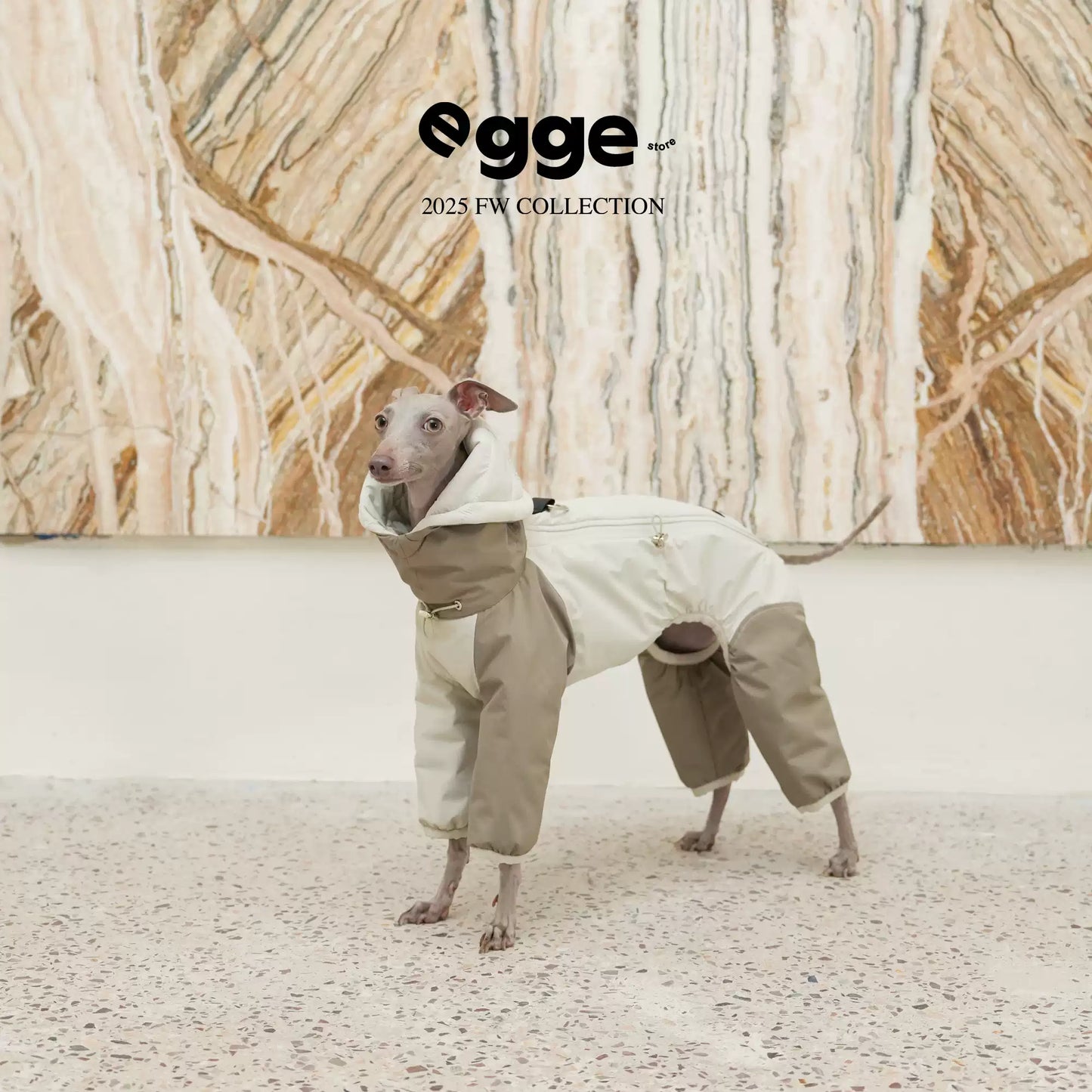 Lightweight Insulated Dog Suit