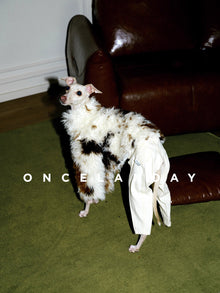 Winter Sherpa Plaid Jacket – Cozy Fleece Dog Coat