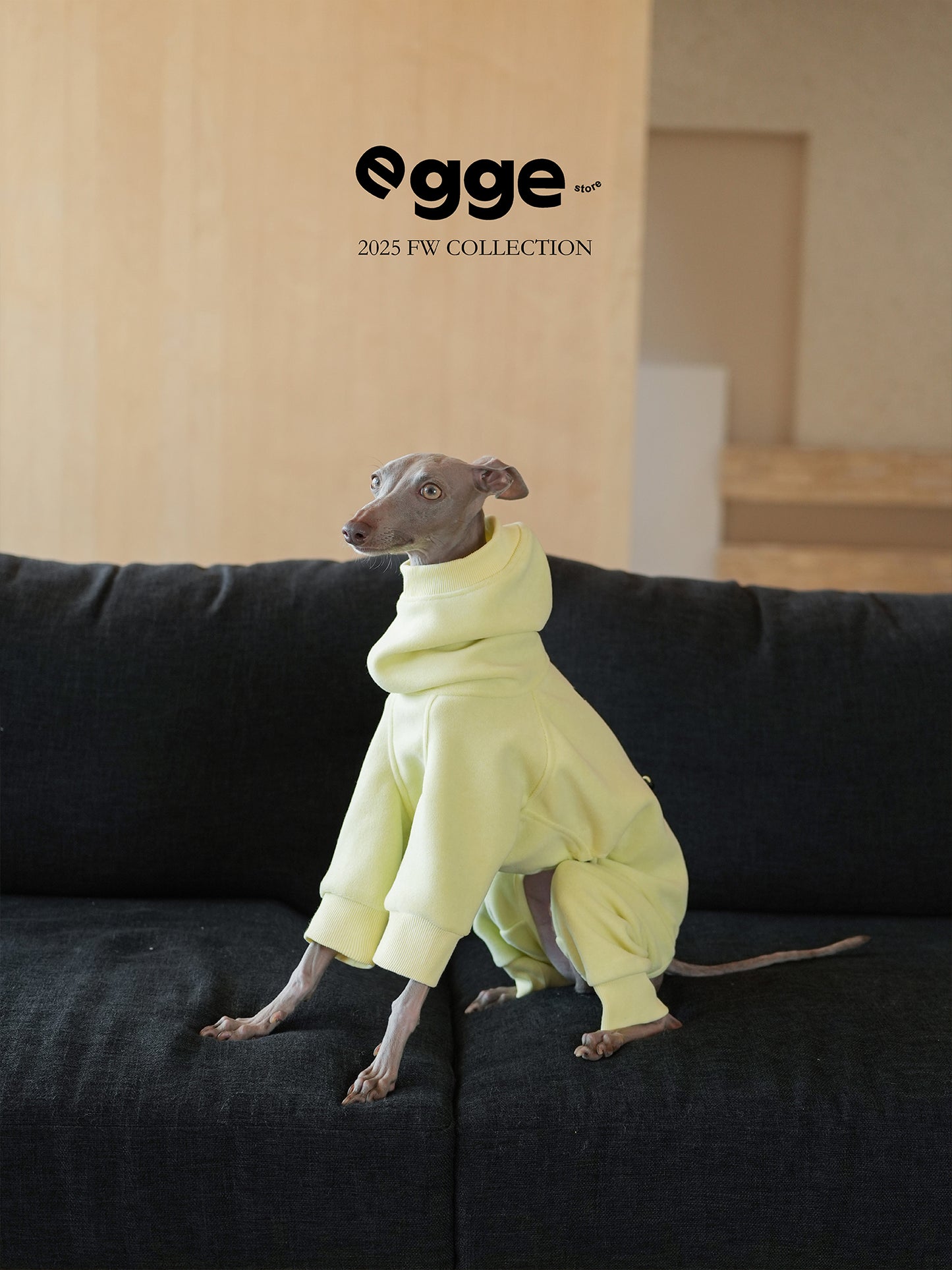 Loop Terry Four-Leg Hoodie