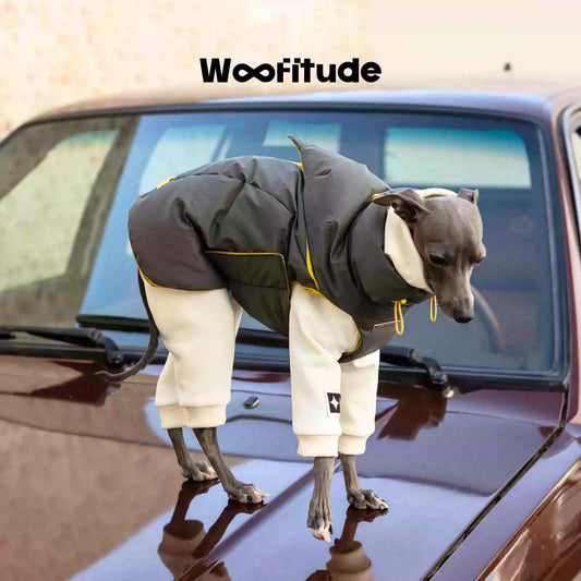 Wooftiude 95% White Duck Down Vest – Warm Autumn & Winter Dog Wear