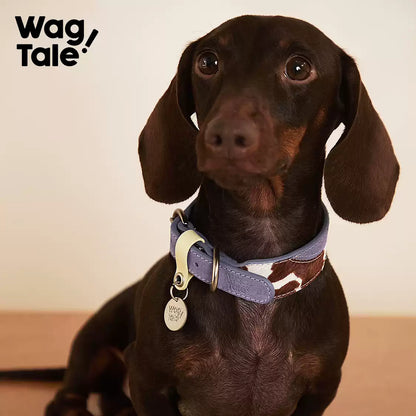 WagTale Vintage Leather Dog Collar – Multi-Tone Classic Design