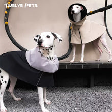 Adjustable Dog Jacket with Detachable Collar