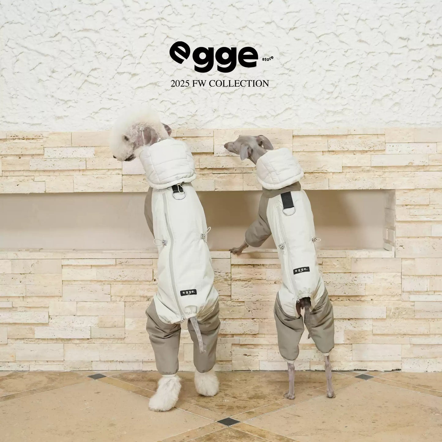 Lightweight Insulated Dog Suit