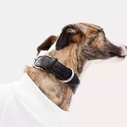 KNOWZA Leather Dog Collar for Medium & Large Dogs