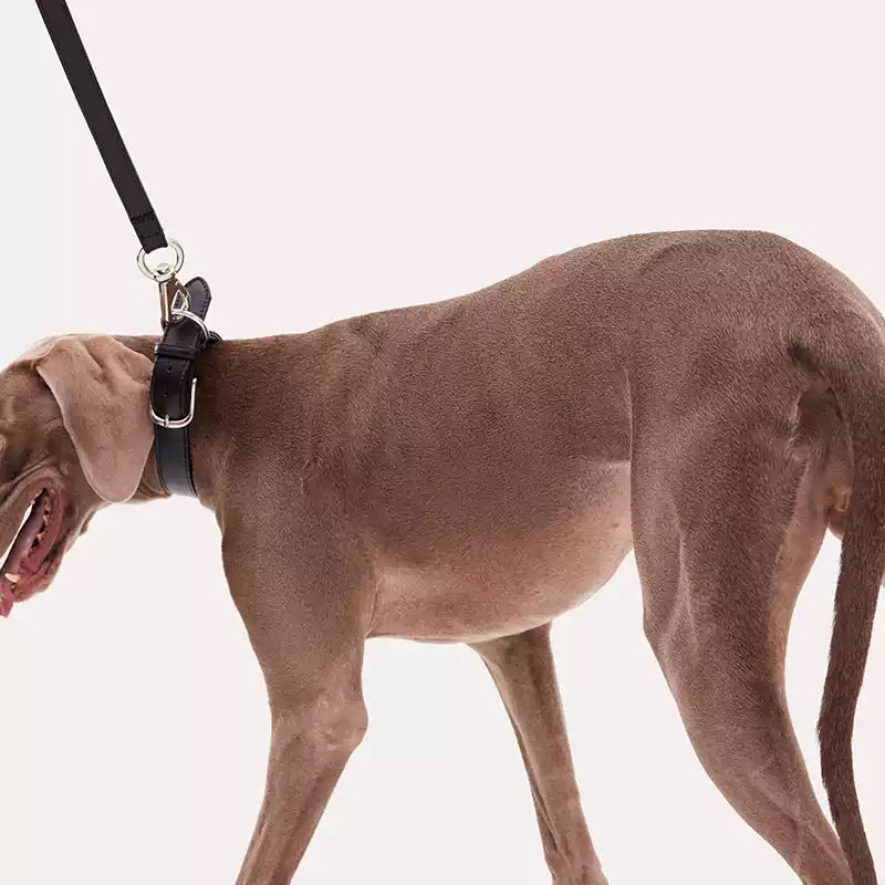 KNOWZA Genuine Leather Dog Leash – Durable Lead for Medium & Large Dogs