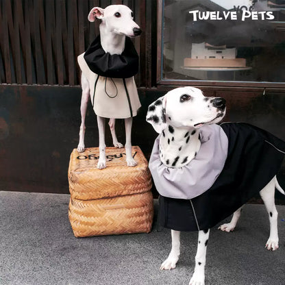 Adjustable Dog Jacket with Detachable Collar