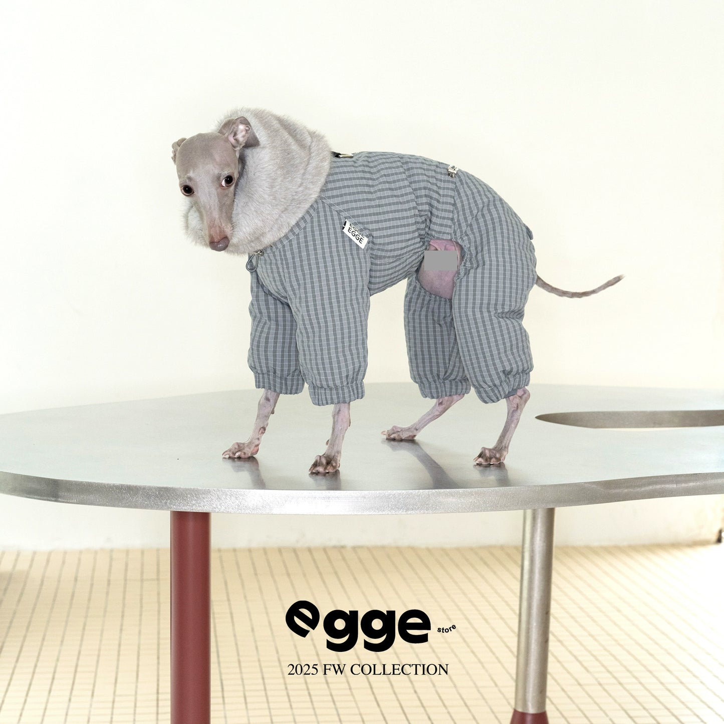 Mink-Trim Down Puffer