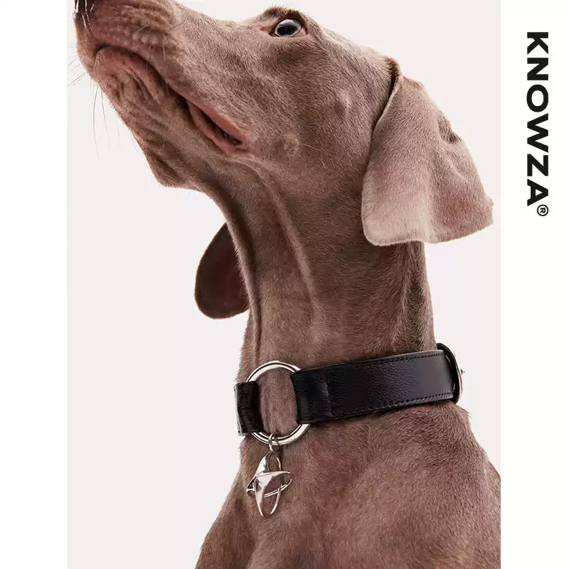 KNOWZA Leather Dog Collar for Medium & Large Dogs