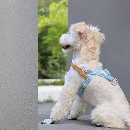 LightFit Dog Harness & Leash – Soft Vest for Small Dogs
