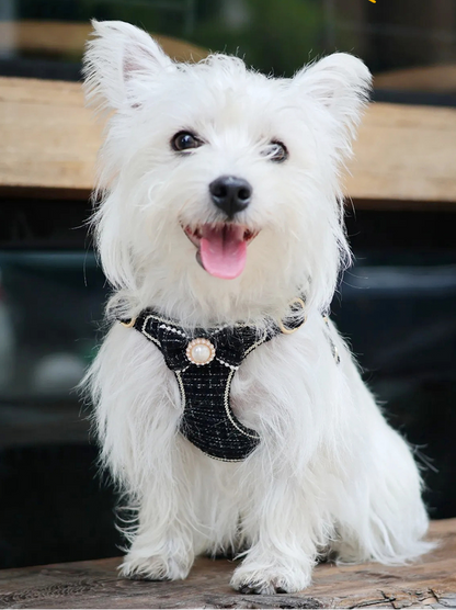 Luxury-Style Harness Set – Small Dog Vest & Leash