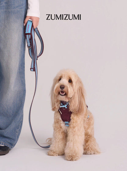 Multi-Way Weave Dog Leash – Crossbody & Waist Wear