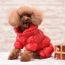 Warm Dog Clothes – Winter Puppy Outfit & Pet Clothing